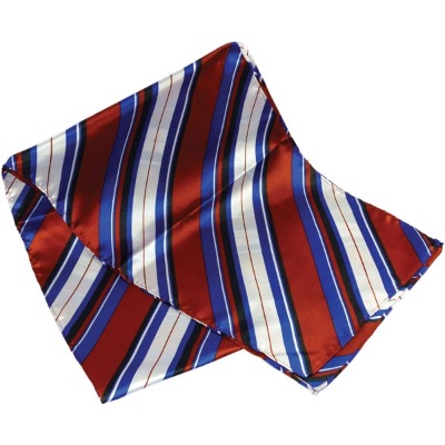 Image of Printed Polyester Scarf (Long: Screen Print)